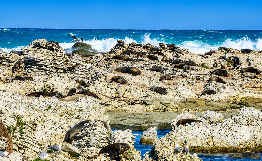 3-Day Coastal & Wine Escape Private Tour